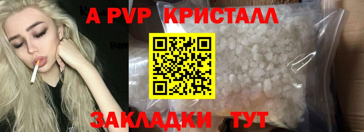 A PVP СК КРИС Обь
