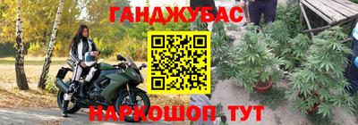 молекула духа Пенза
