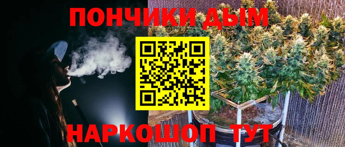 Каннабис планчик  Вход с VPN  Бошки Шишки Amnesia  Обь 